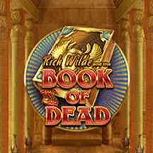 Book of Dead slot at 20Bet Ireland
